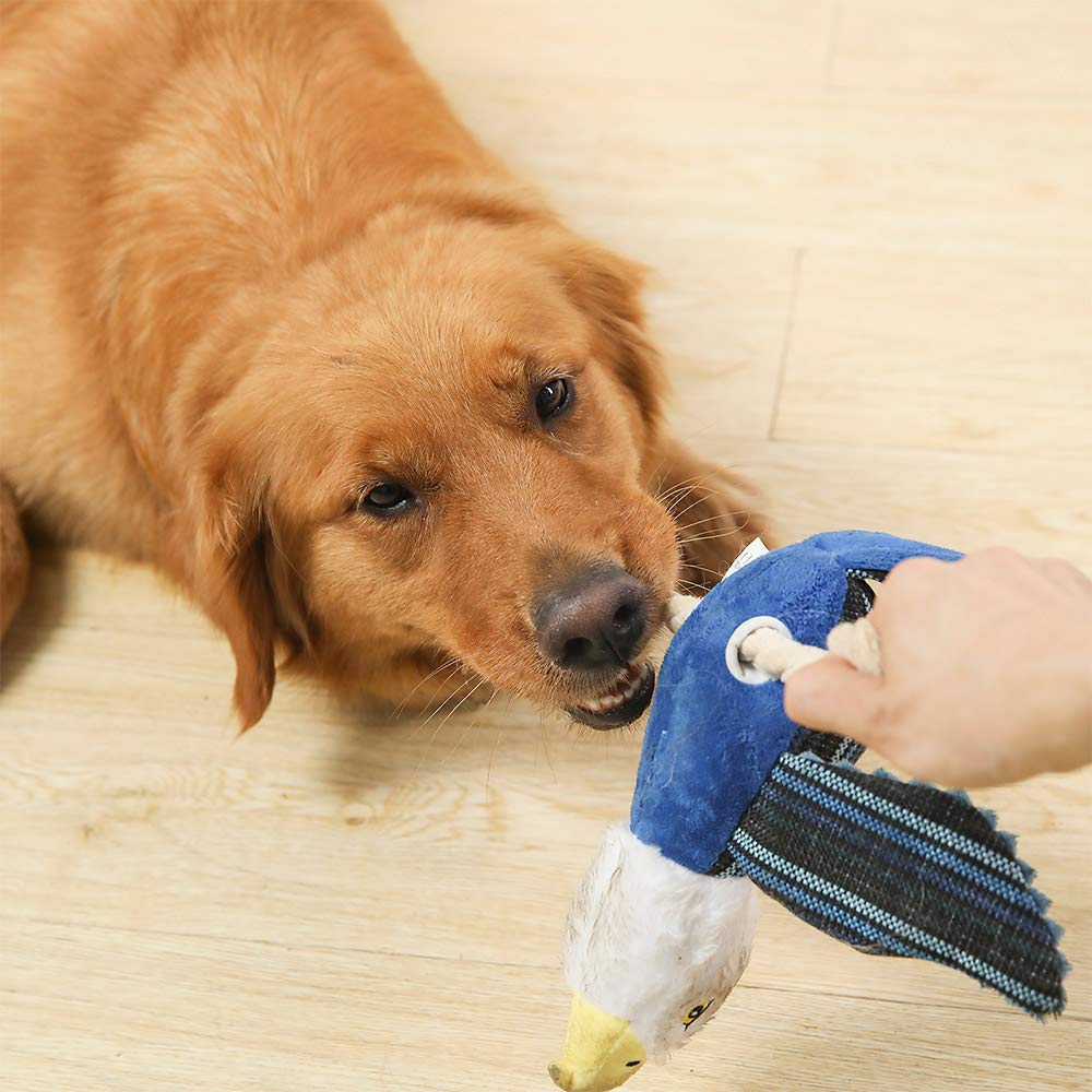 Plush Chew Toys Set for Dogs, Multi-Color