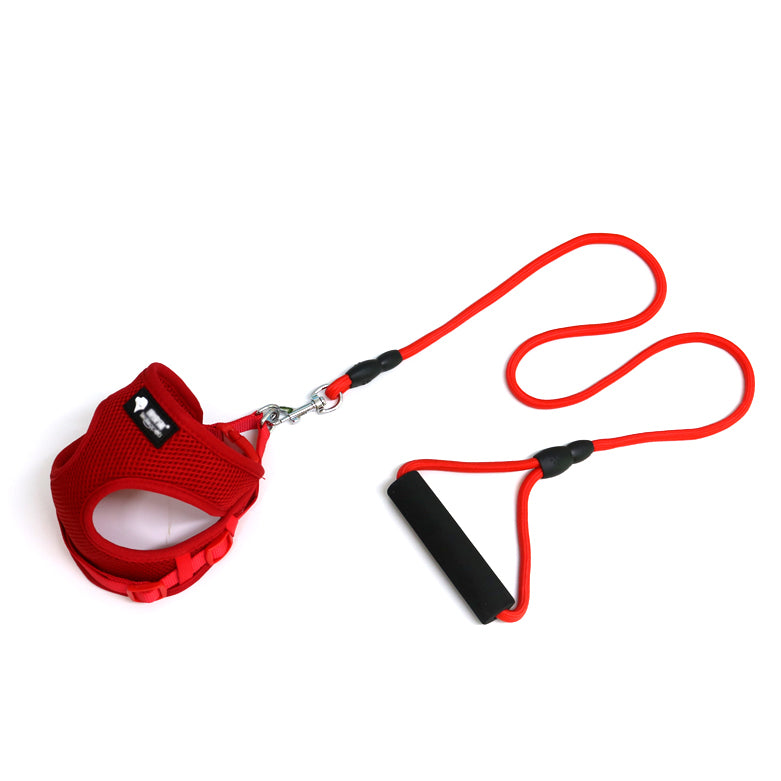 Multicolor Leash and Collar Set in Large