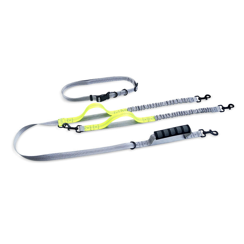 Reflective Dog Leash for Walking
