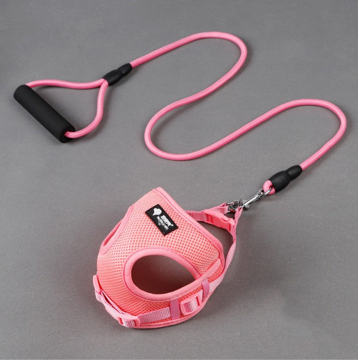 Multicolor Leash and Collar Set in Large