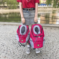 Portable Dog Travel Carrier Backpack in Pink and Blue