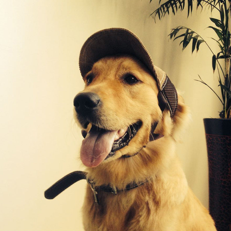 G-shaped embroidered dog hat