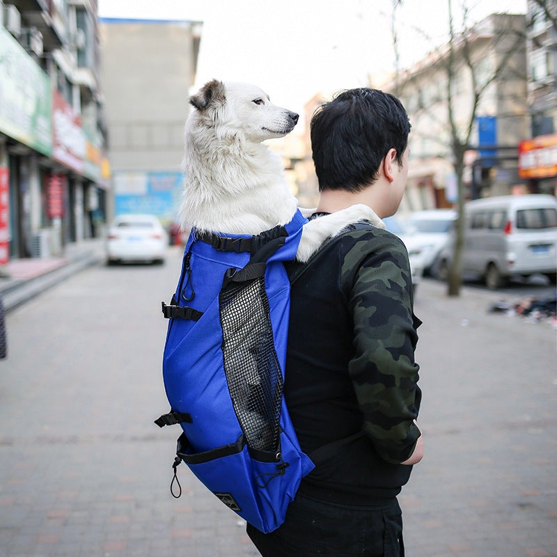 Portable Dog Backpack Carrier in Multiple Colors