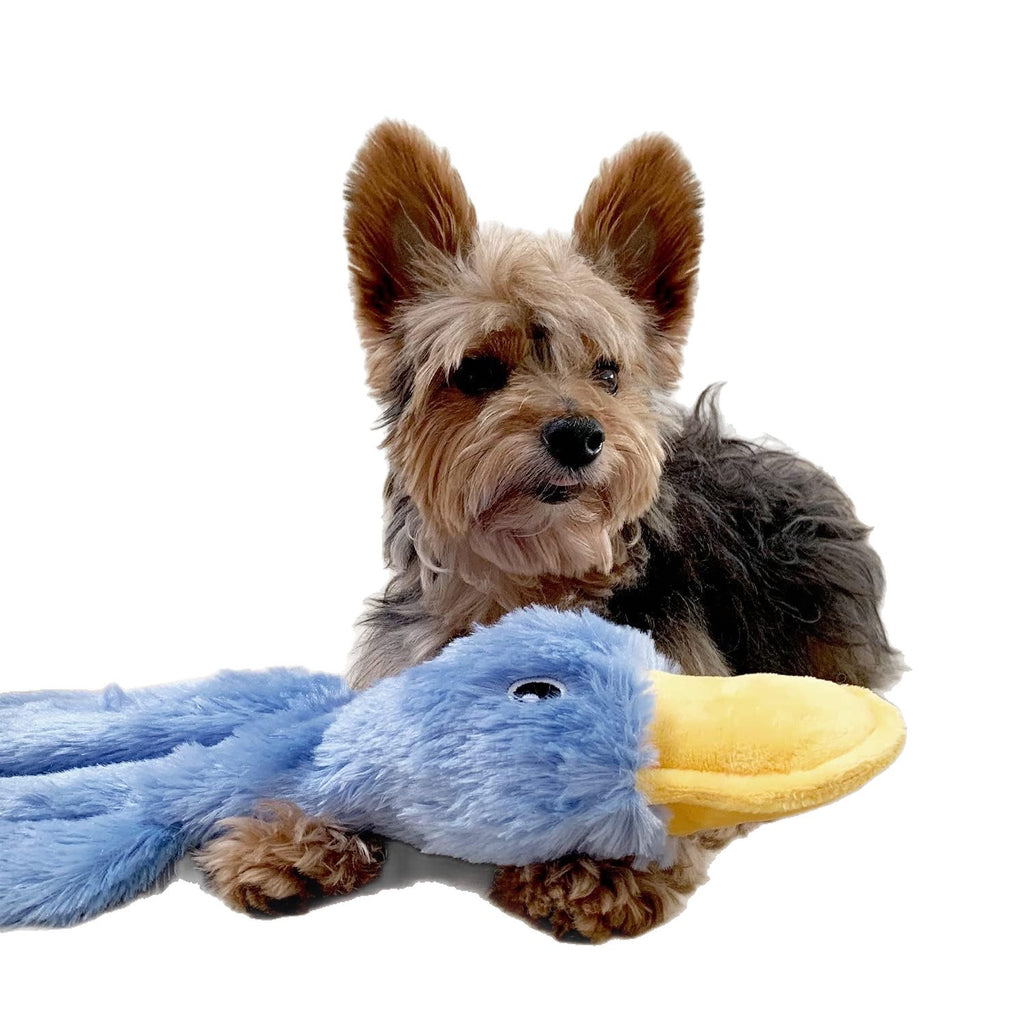 Interactive Squeaky Dog Chew Toy in Blue