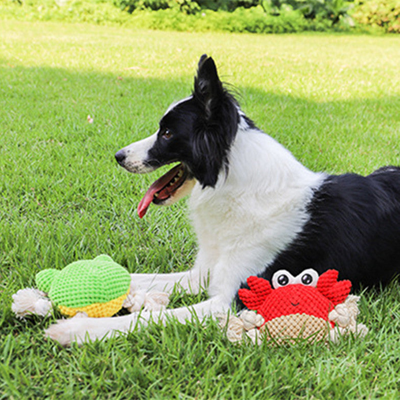 Interactive Rope Tug Toy for Dogs with Plush Ends