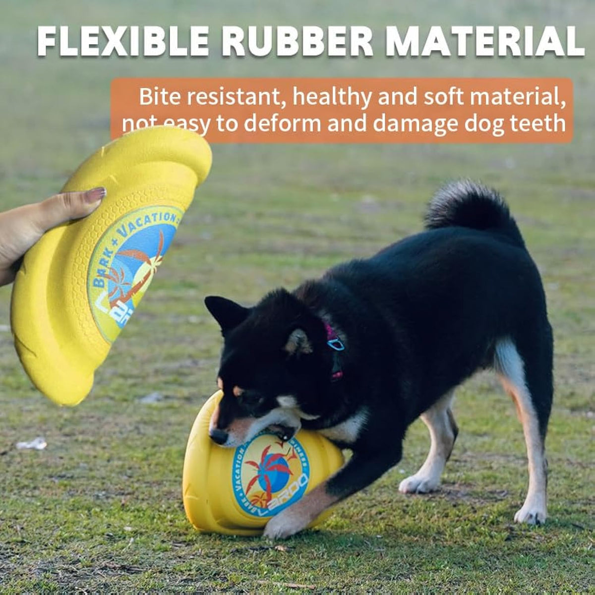 Durable Flying Disc for Dogs in Blue and Yellow