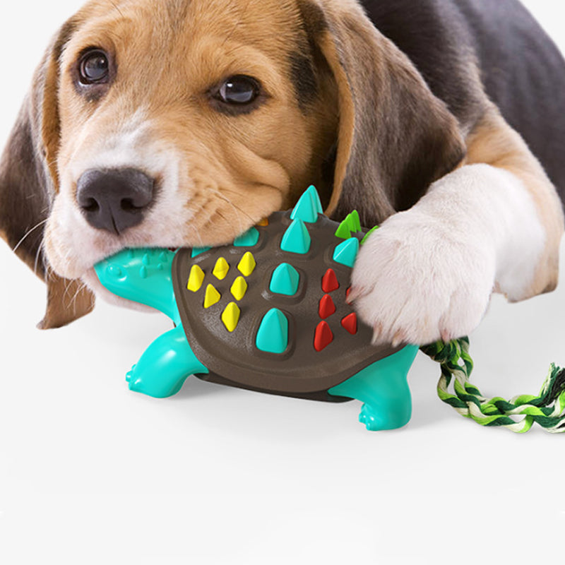 Textured Rubber Chew Toy in Chocolate, Grey, Blue, Yellow and Green