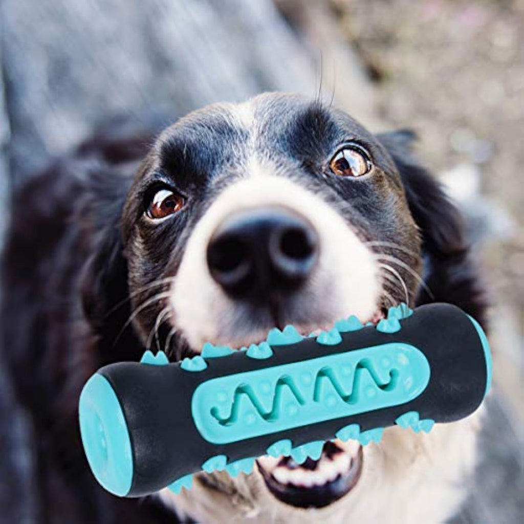 Rubber Stick Chew Toy for Dogs in Blue, Yellow and Green