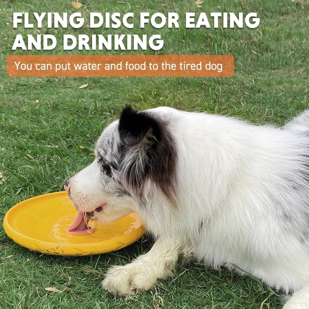 Durable Flying Disc for Dogs in Blue and Yellow