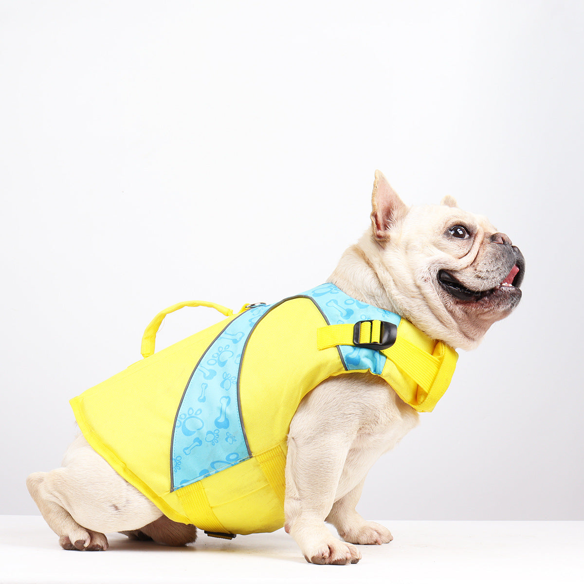High-Contrast Yellow Dog Swim Vest