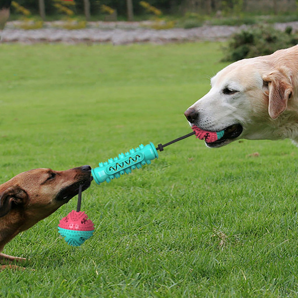 Durable Chew Stick Toy in Red, Blue, and Green