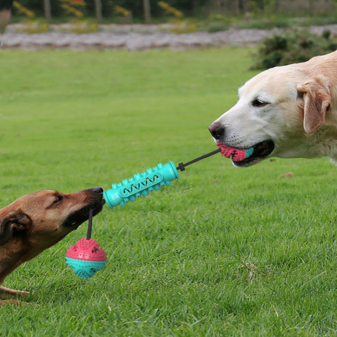 Durable Chew Stick Toy in Red, Blue, and Green