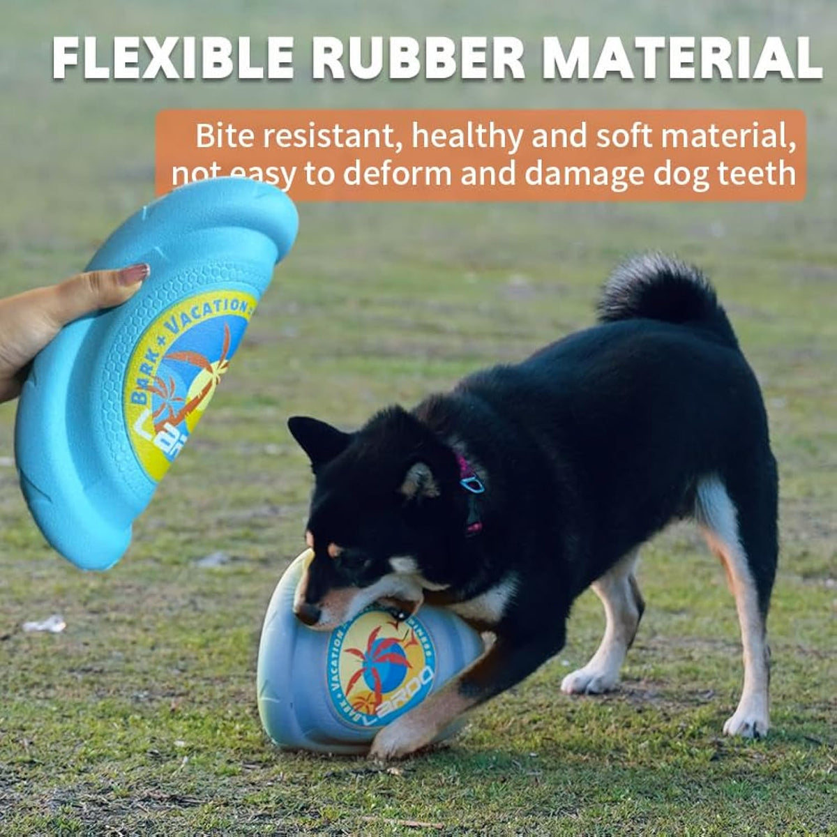 Durable Flying Disc for Dogs in Blue and Yellow