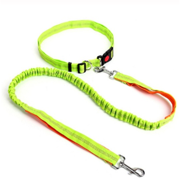 Traction Rope Dog Leash