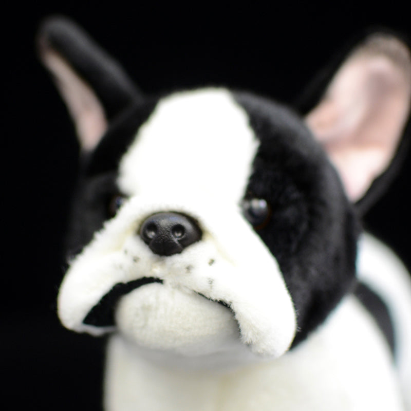 Soft Plush Dog Toy in Multiple Colors