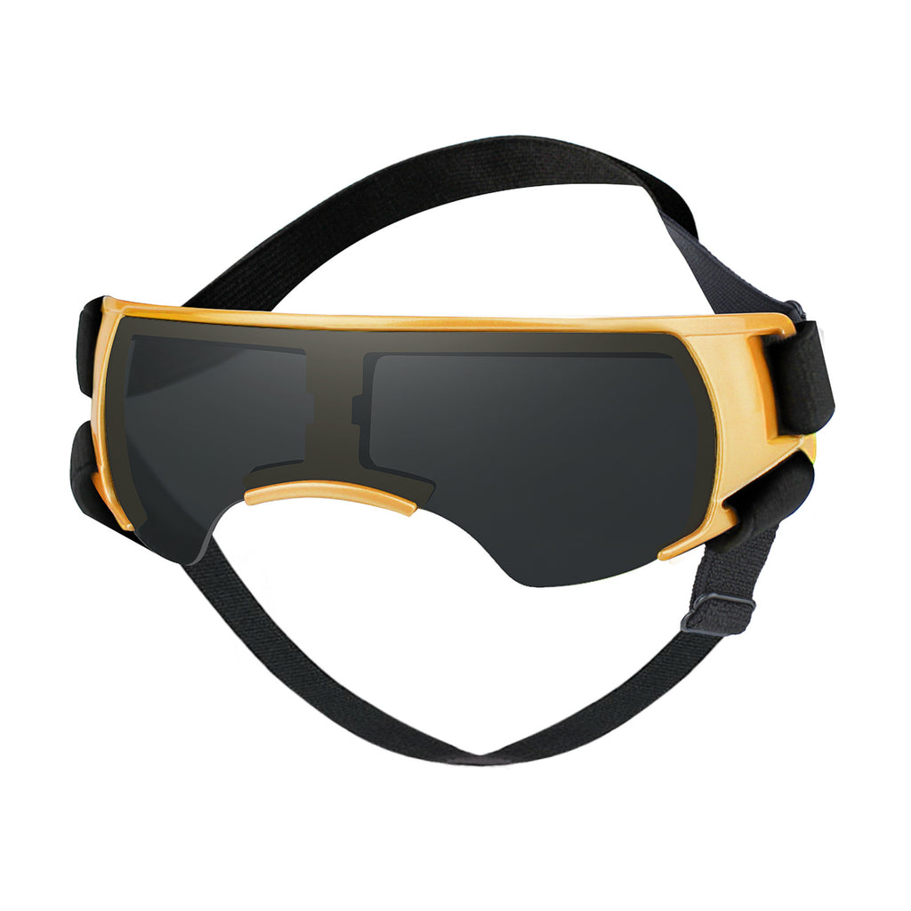 Dog Goggles in Four Colors