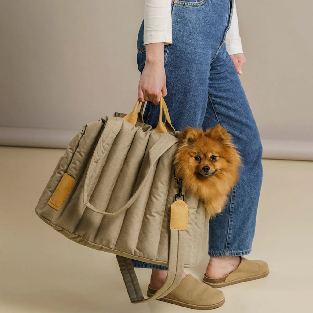Waterproof Dog Carrier Bag in Multiple Colors