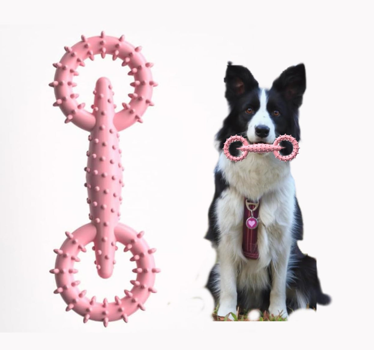 Dog Chew Toy Ring in Blue, Pink & Green