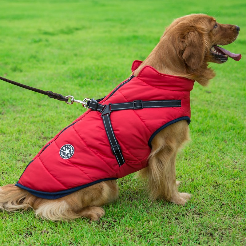 Winter Warm Hooded Dog Coat Jacket For Small Dogs