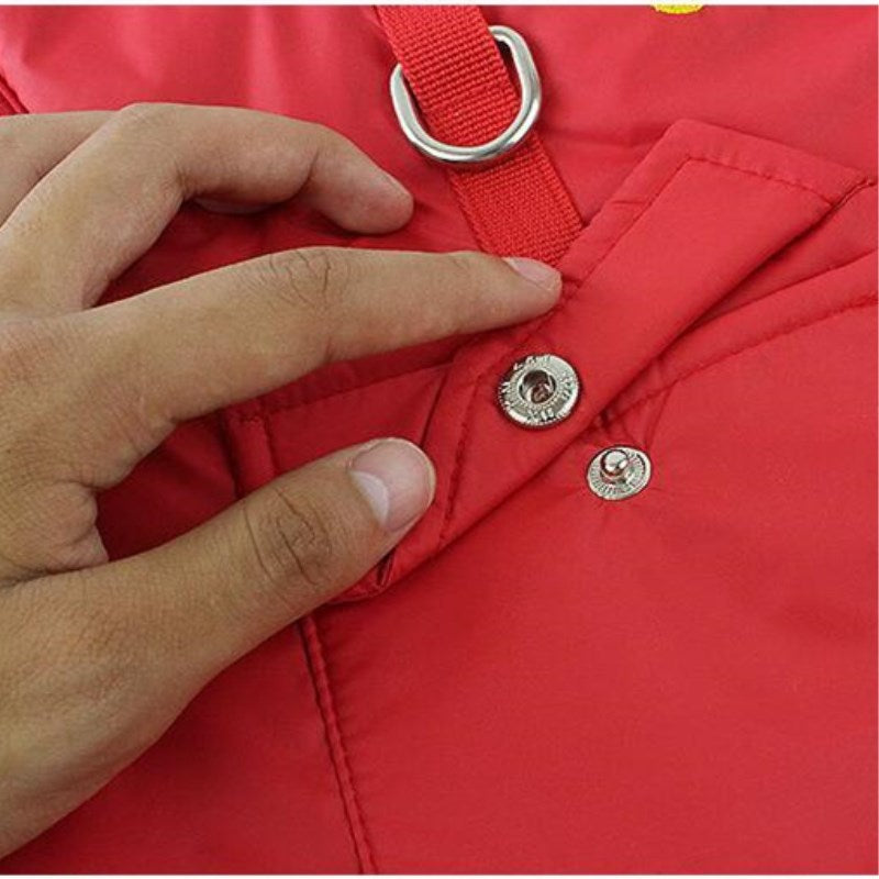 Winter Cotton Coat for Dogs in Pink, Red, and Blue