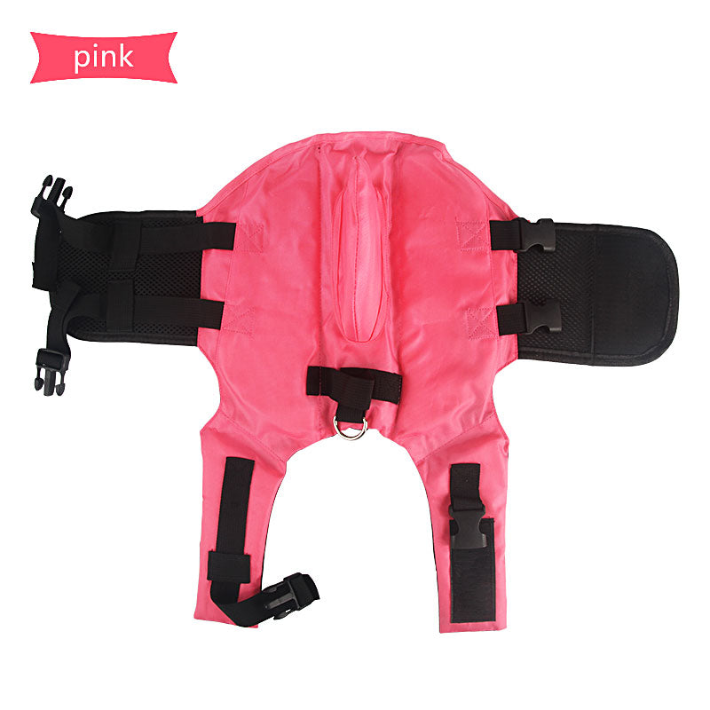 Shark-Design Dog Swim Vest in Blue, Green and Orange