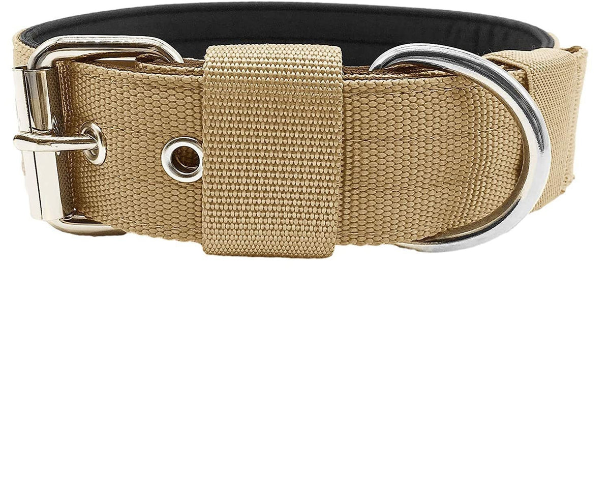 Padded Nylon Dog Collar - Brown