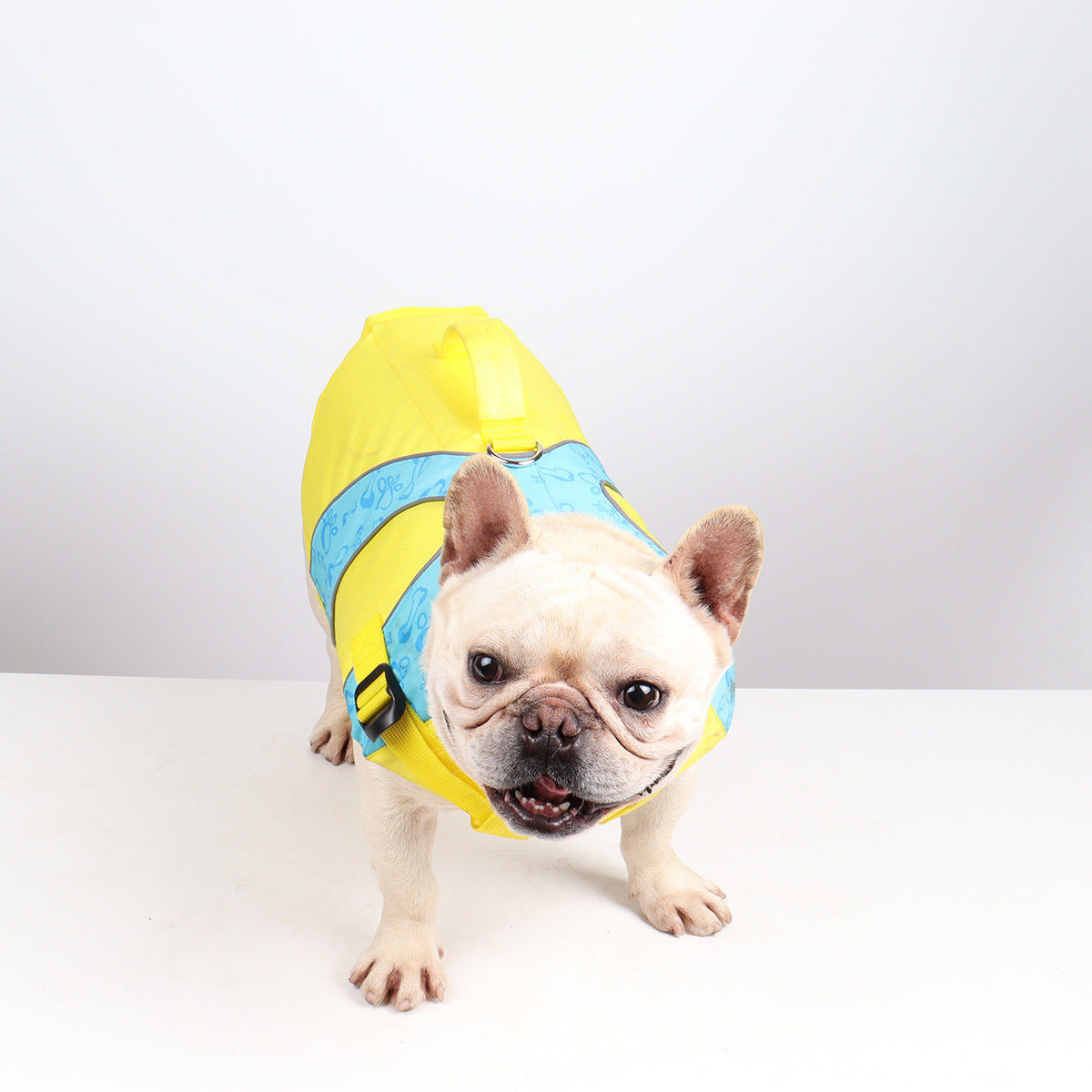 High-Contrast Yellow Dog Swim Vest