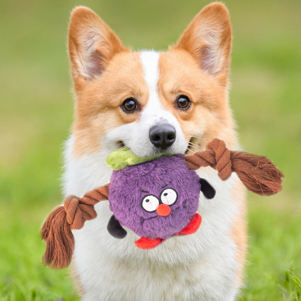 Knotted Plush Rope Toy in Green and Purple
