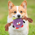Knotted Plush Rope Toy in Green and Purple