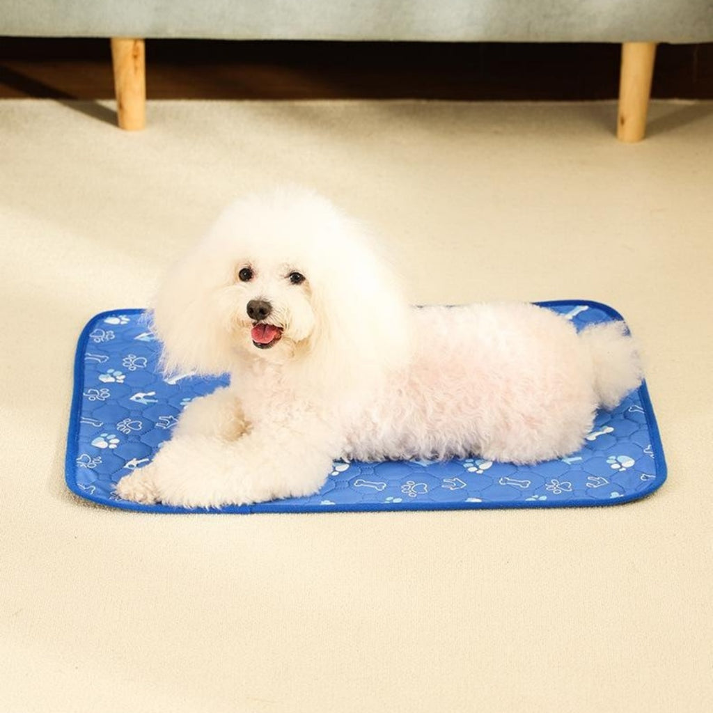 Breathable Absorbent Dog Training Pads with Non-slip Base