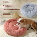 Cozy Gradient Dome Dog Bed for Winter