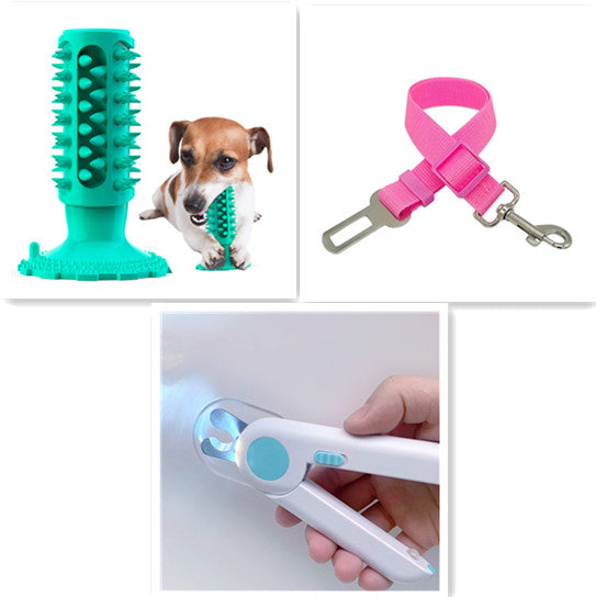 Toothbrush Stick for Dogs
