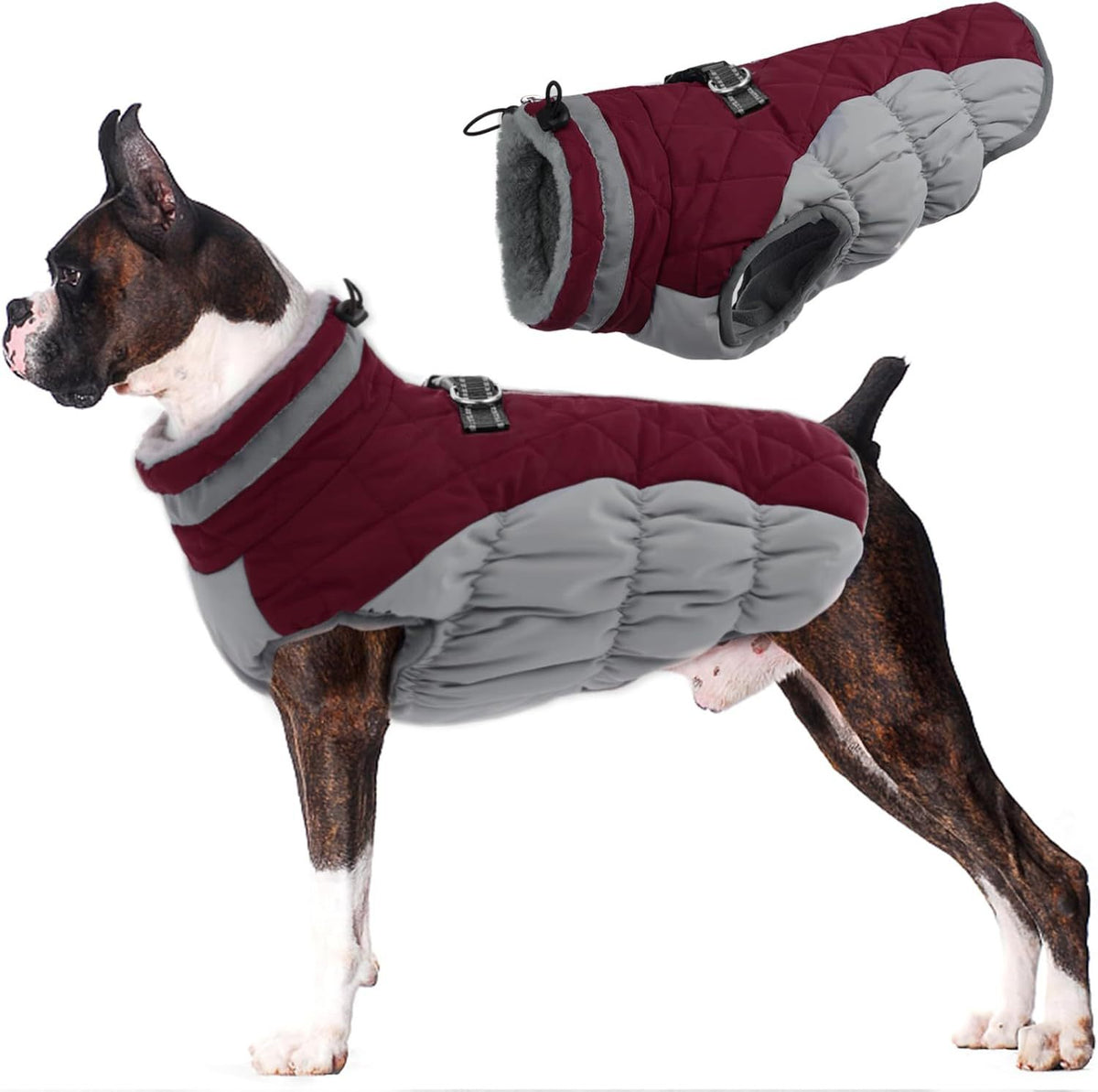 Windproof Padded Winter Dog Coat in 9 Colors