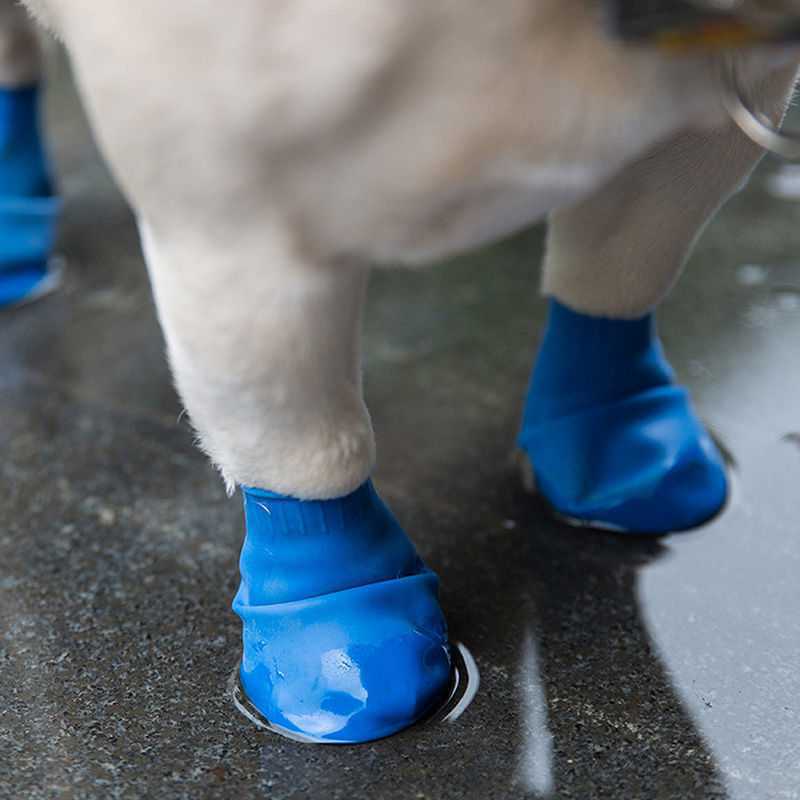 Colorful Rain Boots for Dogs in Yellow, Pink, Blue