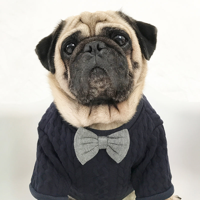 Dog Bow Tie Collar for Formal Pup Style