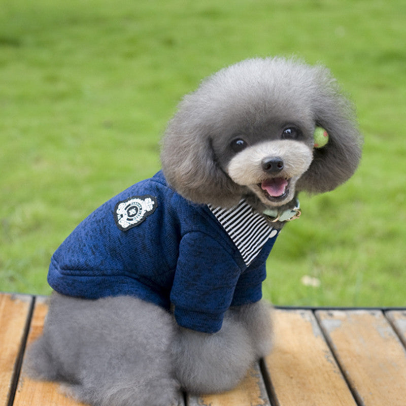 Cozy Dog Hoodie in Grey and Blue
