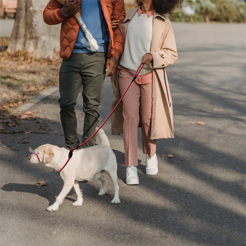 Pet Dog Mouth Leash Nylon Dog Walking