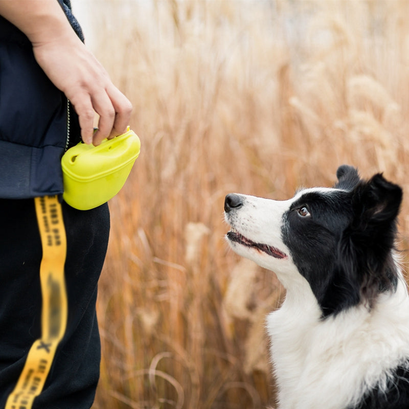 Dog Training Treat Pouch in 6 Colors