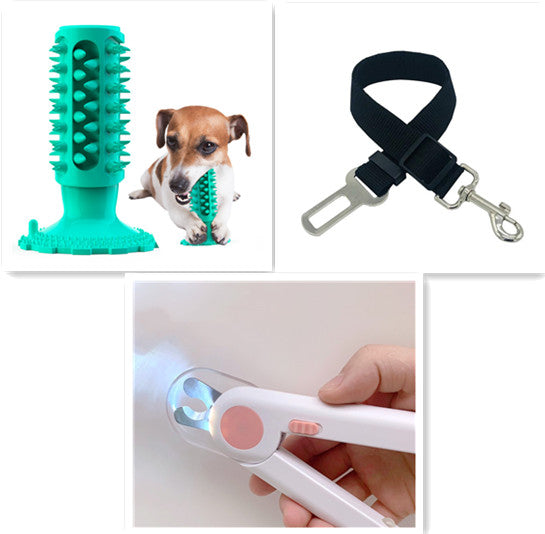 Toothbrush Stick for Dogs