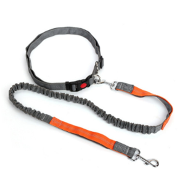 Traction Rope Dog Leash