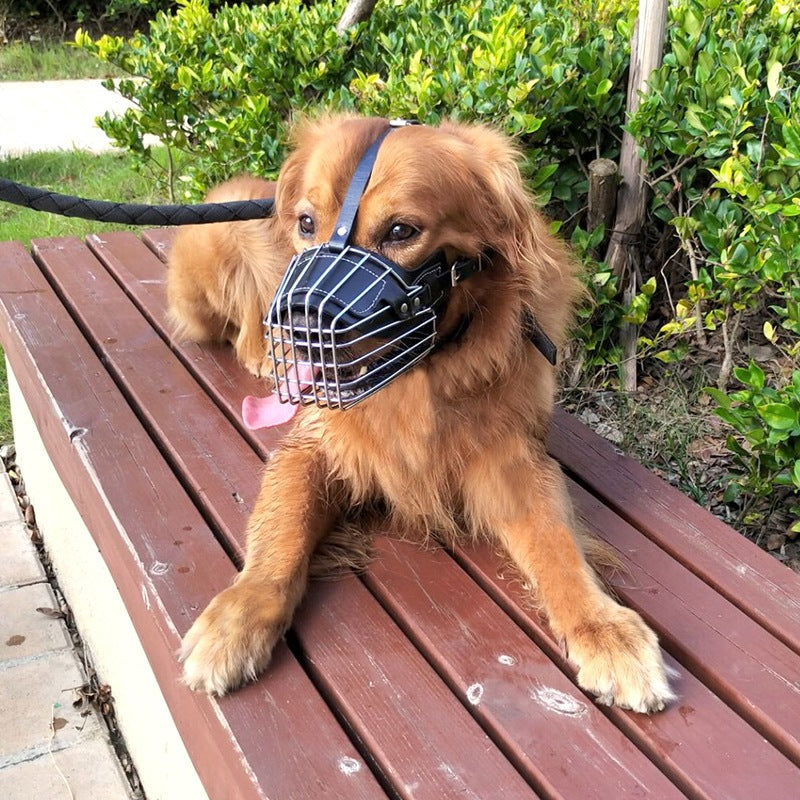 Wire Basket Dog Muzzle with Padded Straps