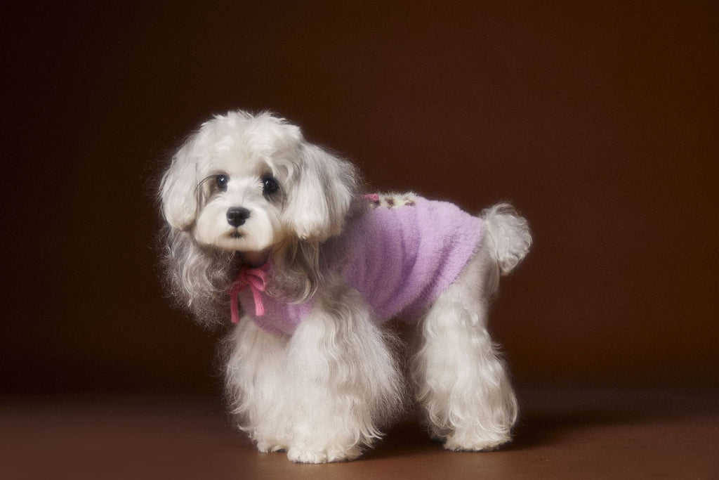 Spotted Dog Hooded Sleeveless Sweater Vest