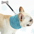 Instant Cooling Blue Dog Bandana Scarf Wrap