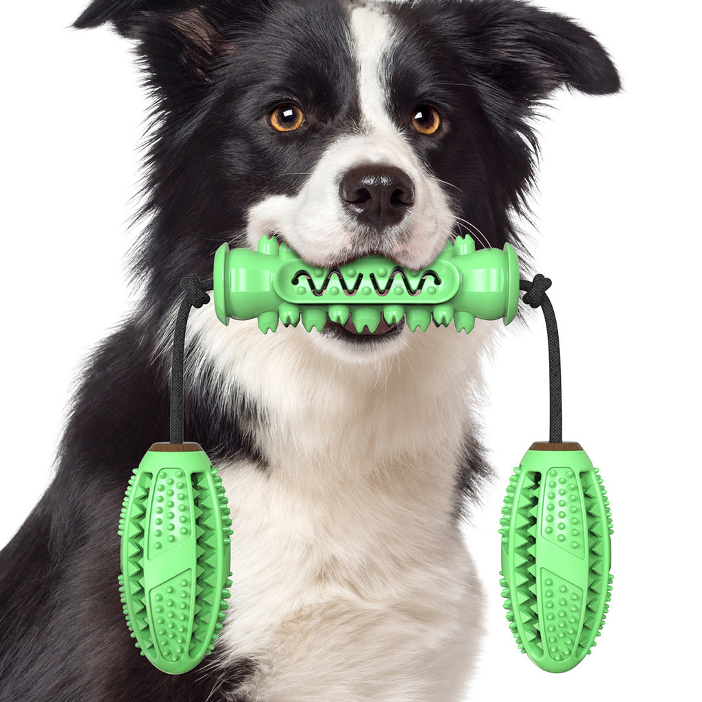 Durable Chew Stick Toy in Red, Blue, and Green