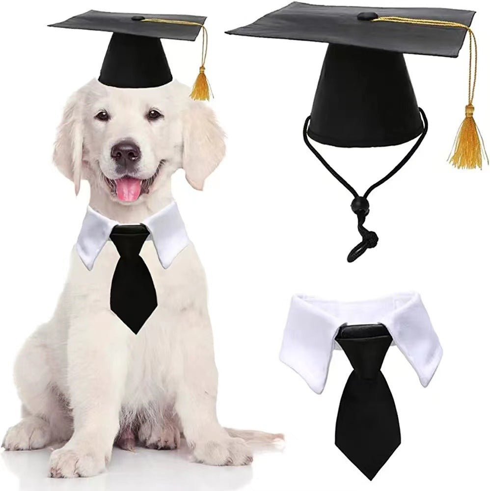 Dog Doctorial Hat Party Costume For Pets