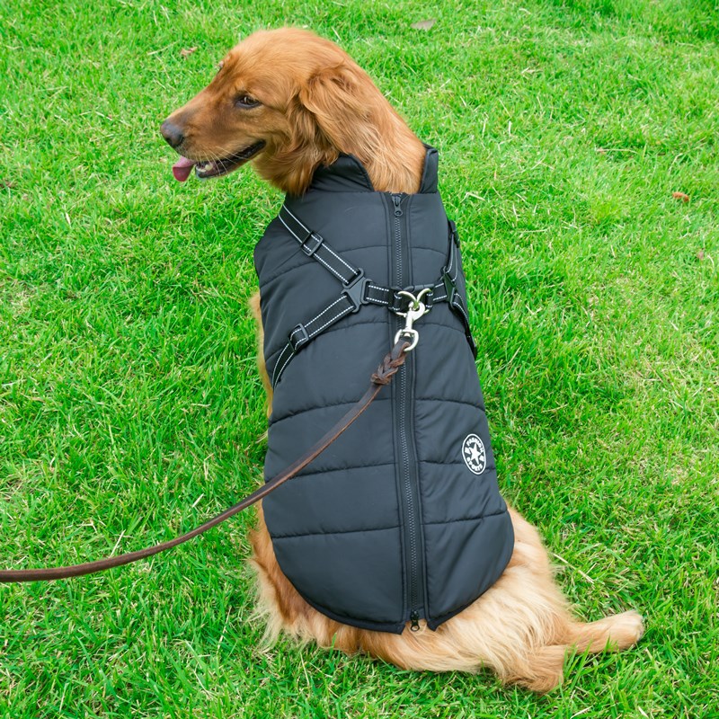 Winter Warm Hooded Dog Coat Jacket For Small Dogs
