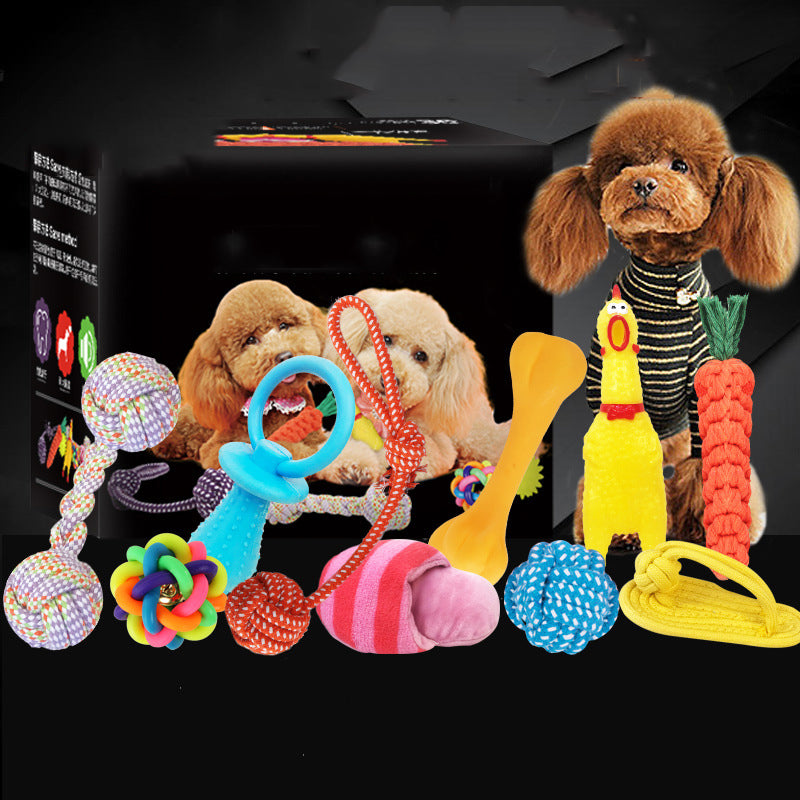 Squeaky Plush Dog Toy Set - Set 6