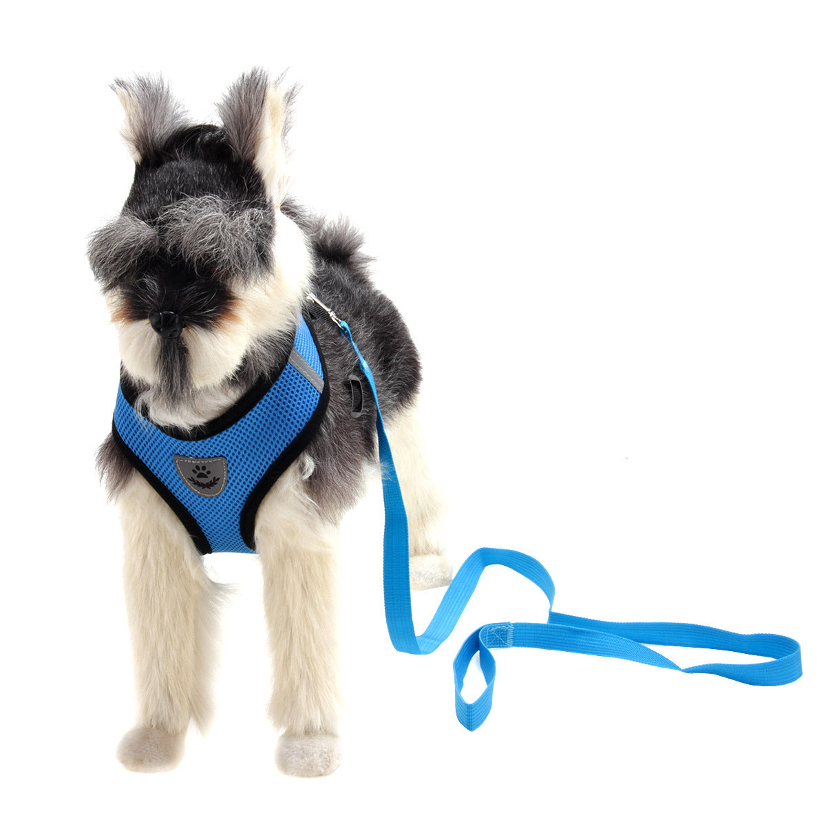 Step-In Dog Harness and Leash Set