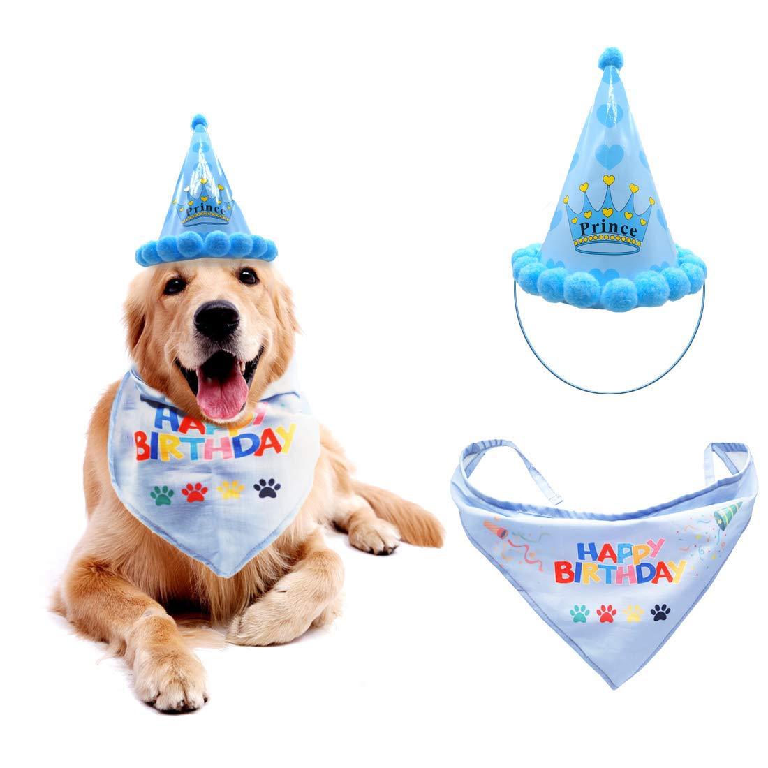 Dog Birthday Hat for Pets