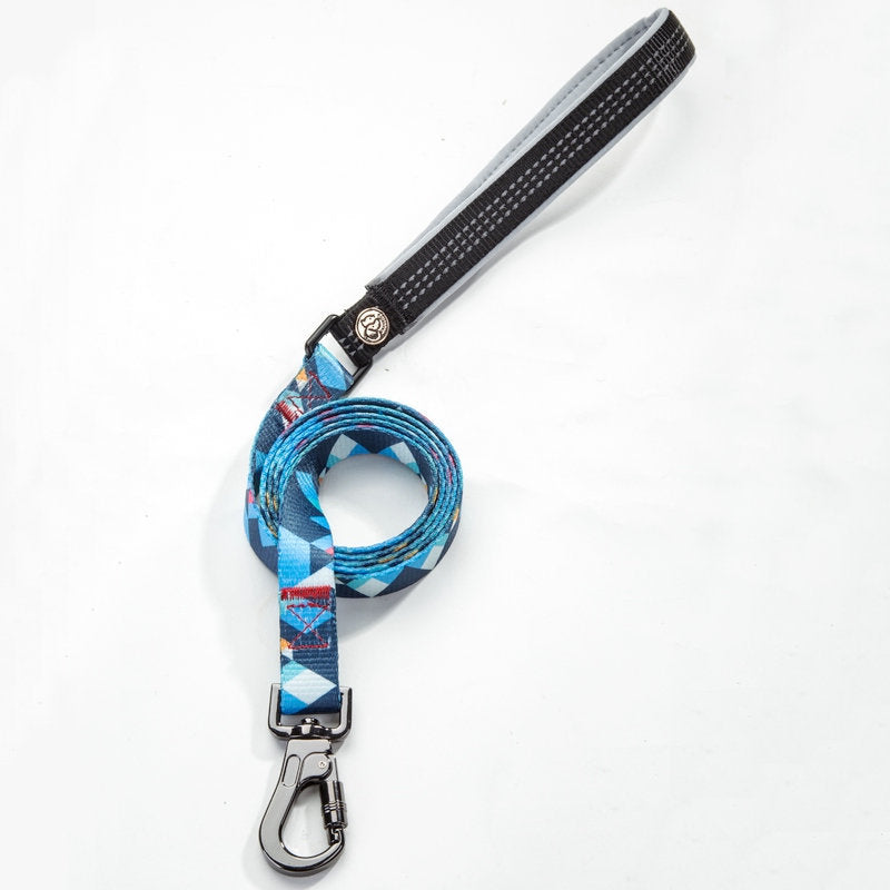Dog Leash for All Sizes